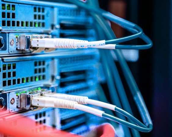 beratung, hardware lizenzmanagement