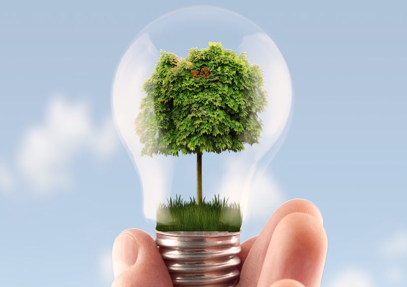 betriebsführung für biomasse energieanlagen